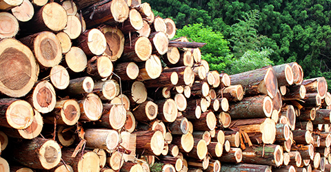 木材