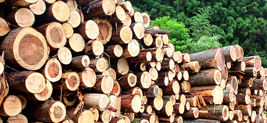 木材